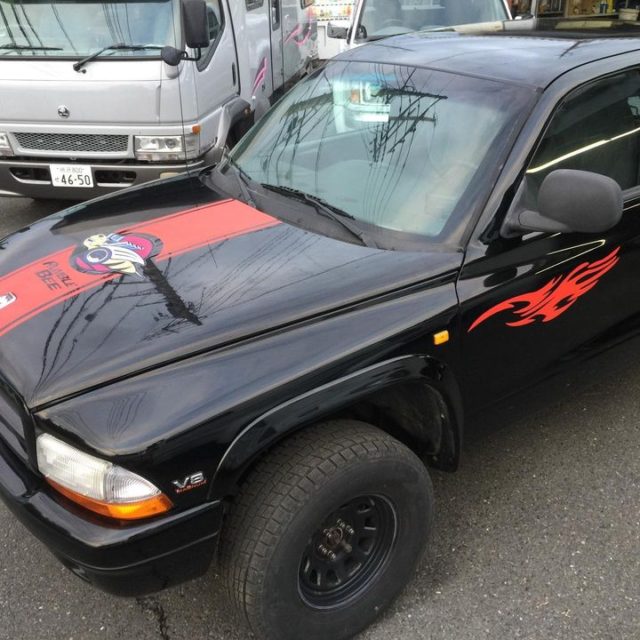 ダコタ復活(^^)